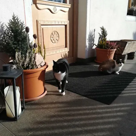 Bigraberhof Farm stay Olang