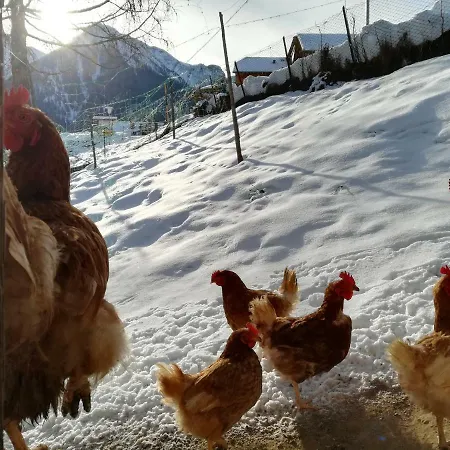Farm stay Bigraberhof