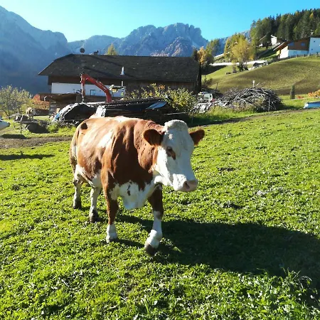 Bigraberhof Farm stay *